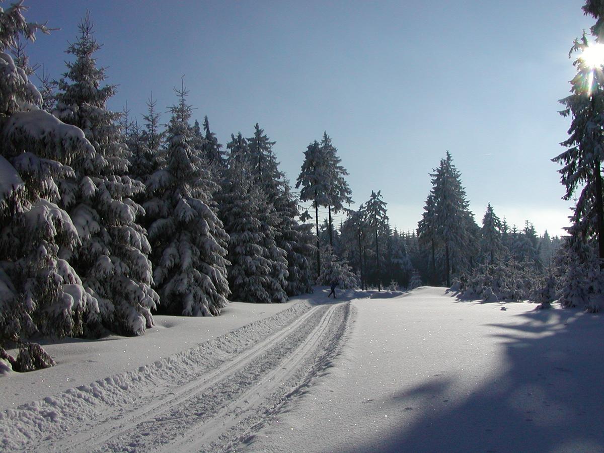 Ferienwohnung Petzold Altenberg Buitenkant foto